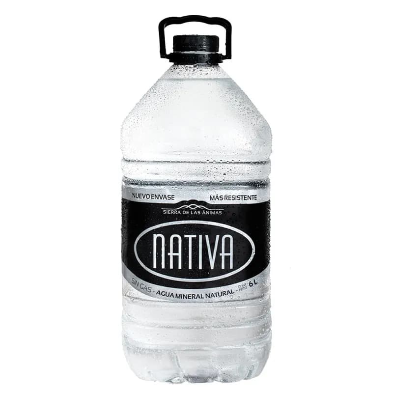AGUA NATIVA BIDON S/ GAS 6 LT