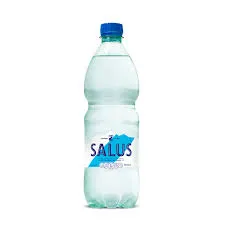 AGUA SALUS 600ML C/G