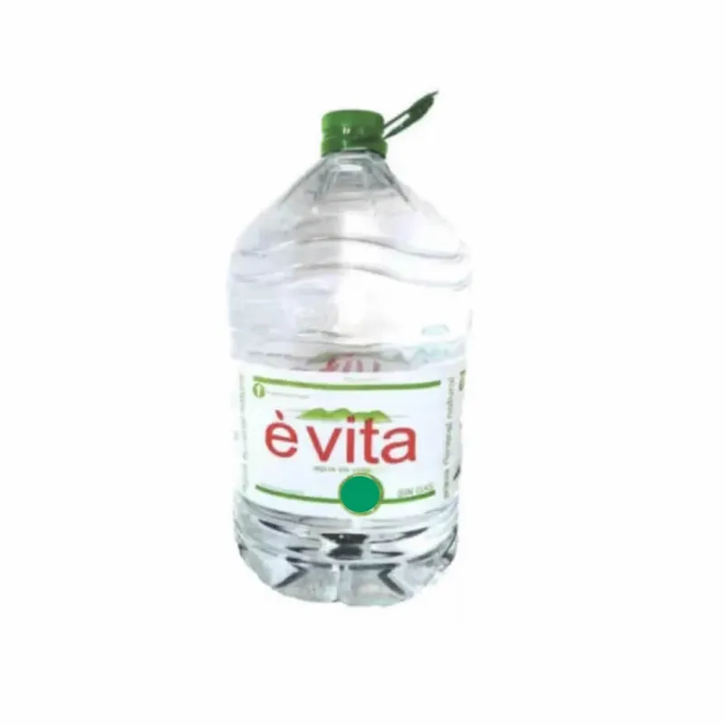 BIDON DE AGUA EVITA X 10 LITRO